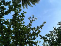 -人民公园(罗湖区)