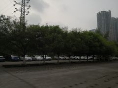 -重庆彩云湖湿地公园