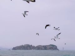 -海驴岛(荣成市)