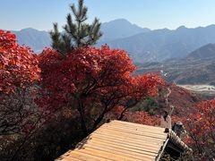 -水峪民俗村