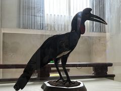 -国家自然博物馆