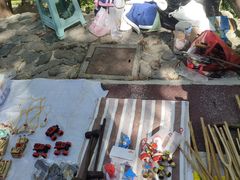 -王顺山国家森林公园