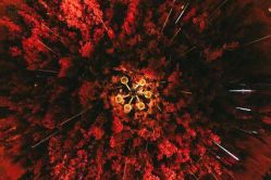 -忆江南婚礼策划(姑苏店)