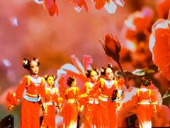 -中国宋庆龄青少年科技文化交流中心