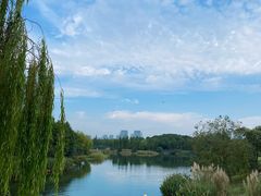 -尚贤河湿地