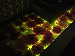-花马天堂云南餐厅 Lost Heaven(高邮路店)