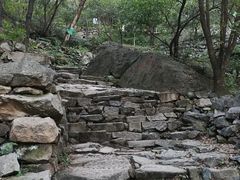 -北京鹫峰国家森林公园