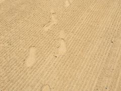 -尼甘布海滩
