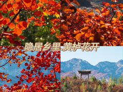 -周口店坡峰岭风景区