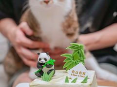 -壹点壹客·生日蛋糕(龙岗店)