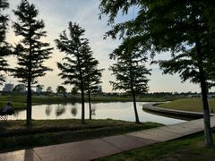 -春花秋色城市公园