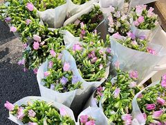 -循礼门鲜花花市(武汉循礼门店)