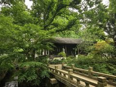 -上海醉白池公园