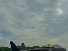 -空港花田景区