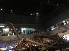 -自贡恐龙博物馆