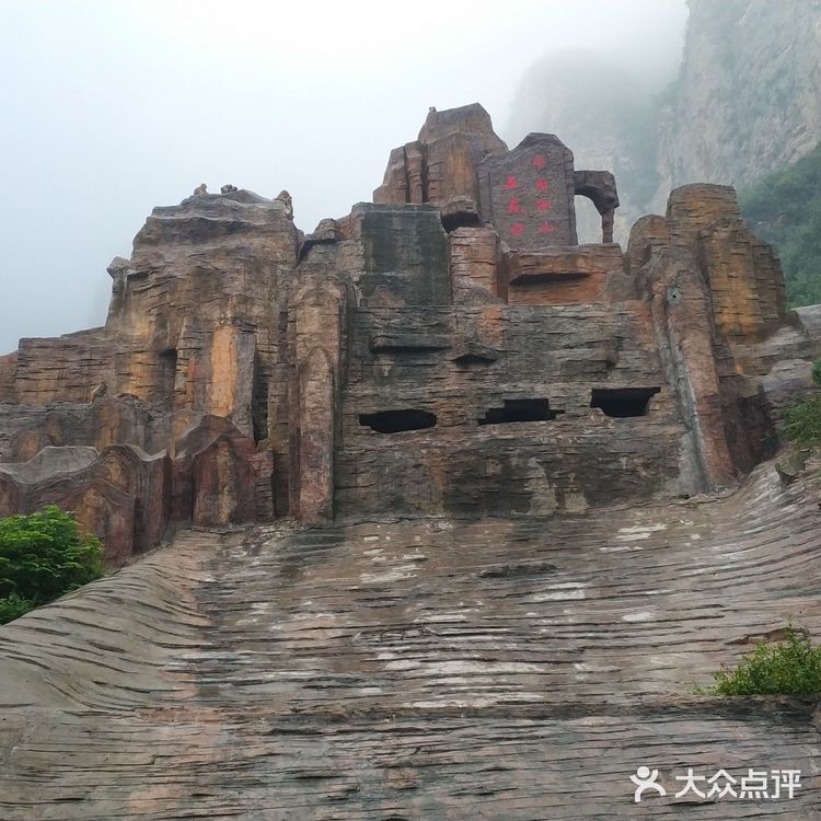 五龙口的猴子太可爱了