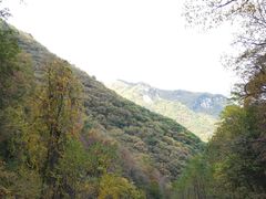 -龙道沟景区