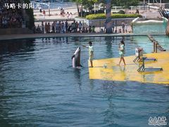 -秦皇岛乐岛海洋王国