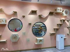 -BABIT巴比特宠物(MOMOPARK店)