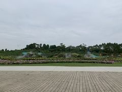 -秀丽东方