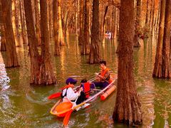 -星湖旅游景区七星岩