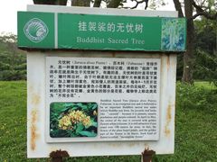 -华南国家植物园-售票处
