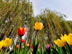 -长春公园(普阳街道)