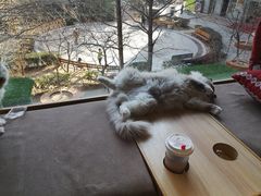 -猫和宫(六道口店)