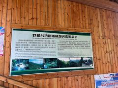 -野象谷景区