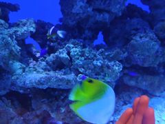 -海合安成都极地海洋公园