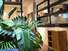 -Wagas沃歌斯(枫蓝国际店)