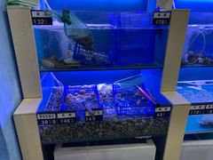 -老虎滩大连海鲜烧烤(建邺云锦路总店)