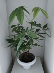-颜蕾医美·黄金微针·水光·玻尿酸·超声炮·抗衰中心
