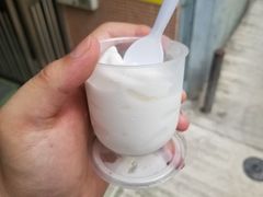-洪馨椰子