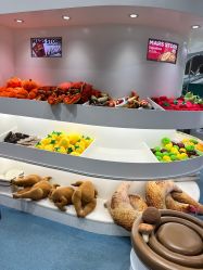 -MINI MARS KIDS CLUB亲子家庭中心(长宁天山店)
