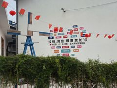 -大树小院