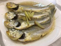 清蒸梅鱼-渔中舟海鲜大排档(普陀沈家门店)
