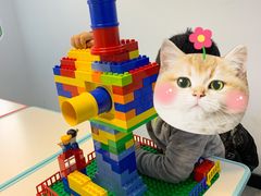 -蓝精灵创客少儿编程(百步亭中心)