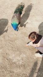 -萌宠亲子动物乐园(槐房万达店)