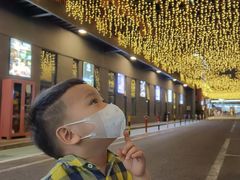 -甲乙果 美术书法(通州校区)