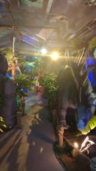 -恐龙探索乐园(磁器口店)