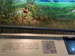 -中国湿地博物馆