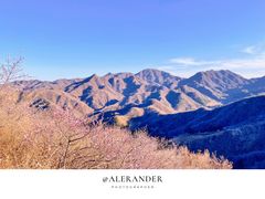 -龙泉峪长城