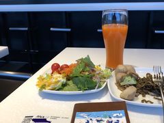 -ANA羽田机场休息室(羽田空港第3ターミナル)