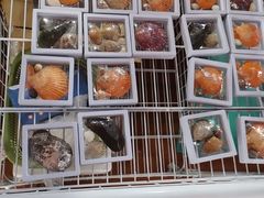 -蓝湾碧波·老字号·疍家非遗海上餐厅