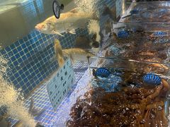 -一江春水·杭帮臻宴(三台山店)