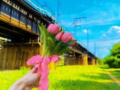 -长白岛森林公园