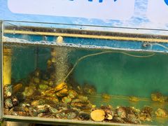 -仙螺岛海鲜自助餐厅(总店)