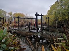 -长兴太湖图影湿地文化园