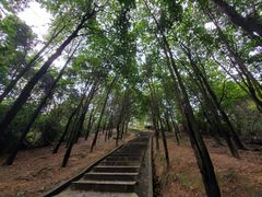 -火炉山森林公园